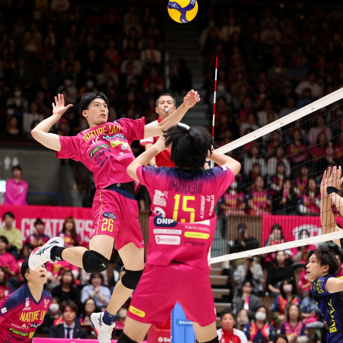 天刀手游全新精灵主题外观今日登场，化身步步生花的森林仙子！